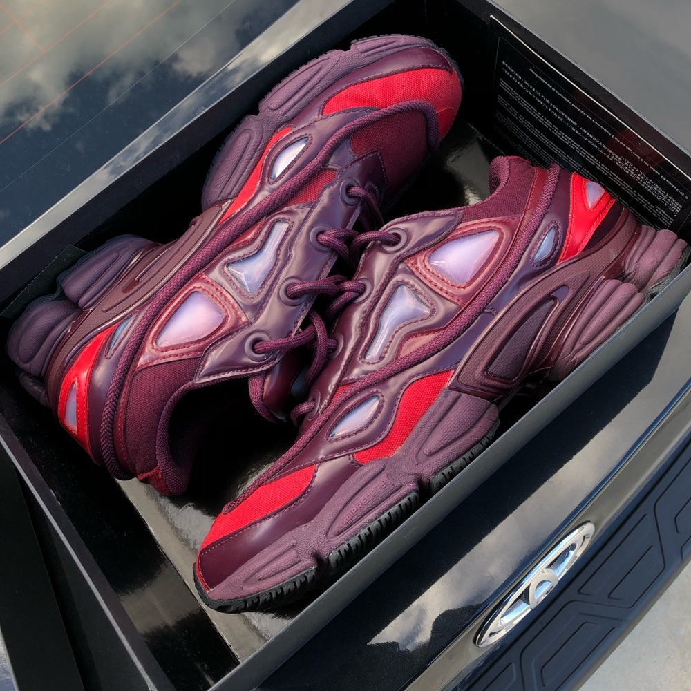 Raf Simons Ozweegos